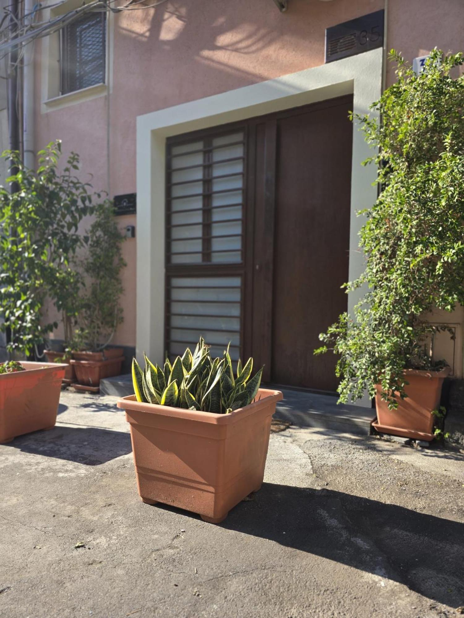 הוילה קטאניה Benedettini Little House מראה חיצוני תמונה